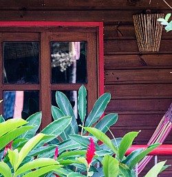 Balcones